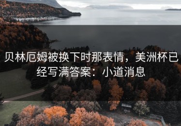贝林厄姆被换下时那表情，美洲杯已经写满答案：小道消息