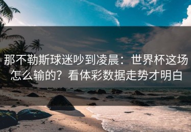 那不勒斯球迷吵到凌晨：世界杯这场怎么输的？看体彩数据走势才明白