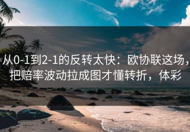 从0-1到2-1的反转太快：欧协联这场，把赔率波动拉成图才懂转折，体彩