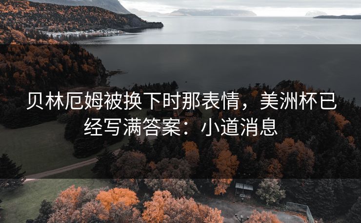 贝林厄姆被换下时那表情，美洲杯已经写满答案：小道消息
