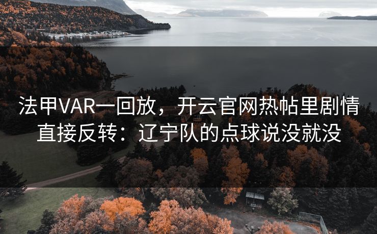 法甲VAR一回放，开云官网热帖里剧情直接反转：辽宁队的点球说没就没